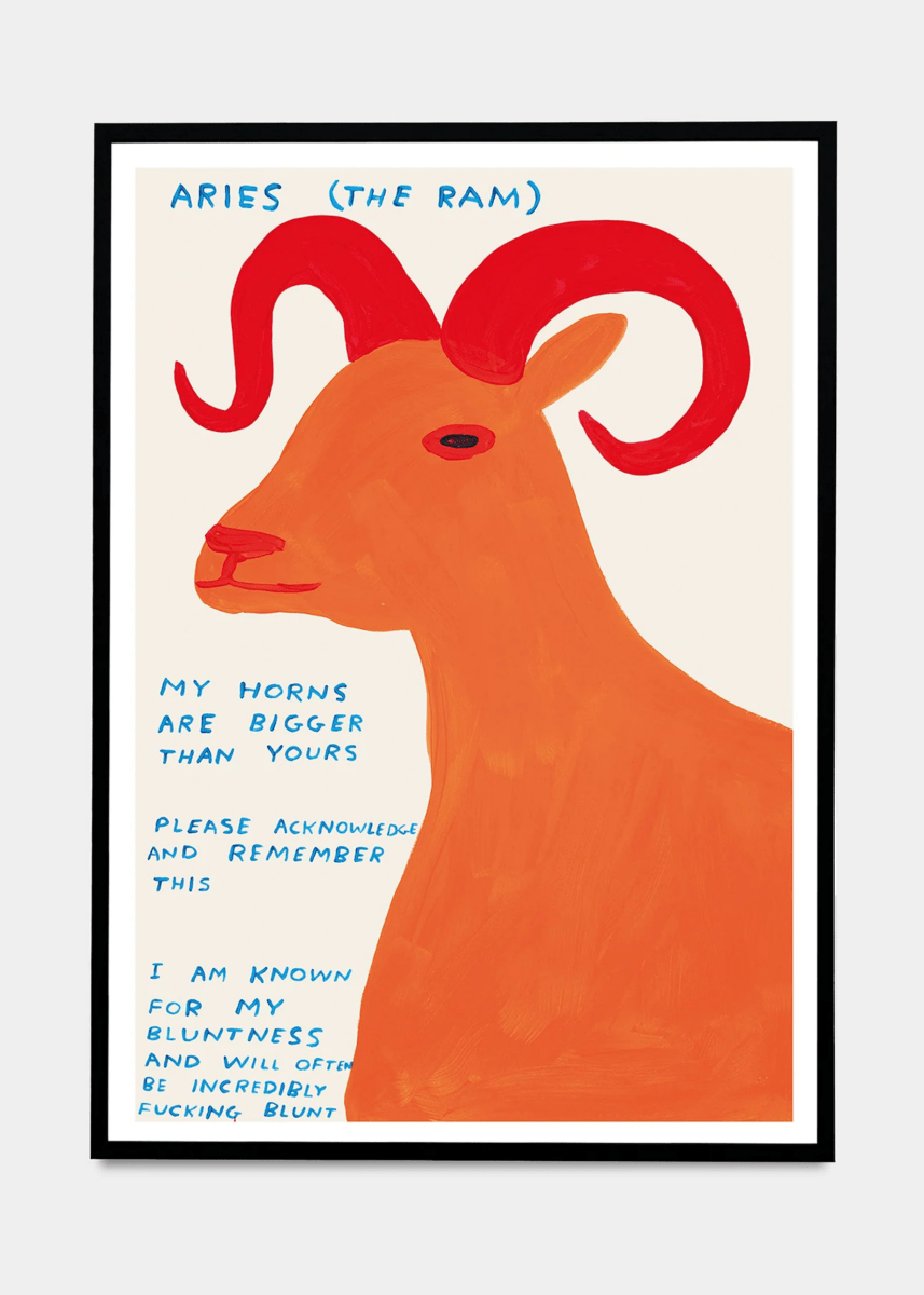Affichette A5 Signs of the Zodiac D.Shrigley - Ex - voto