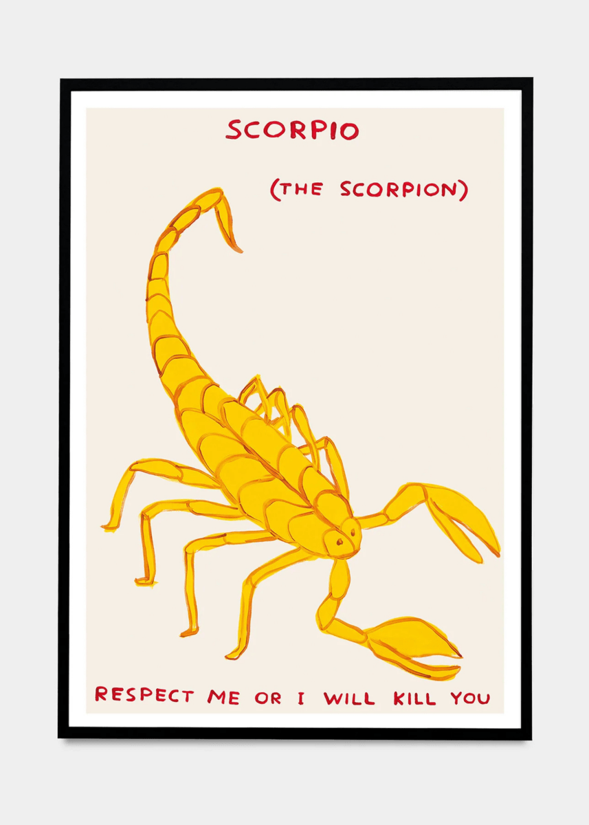 Affichette A5 Signs of the Zodiac D.Shrigley - Ex - voto