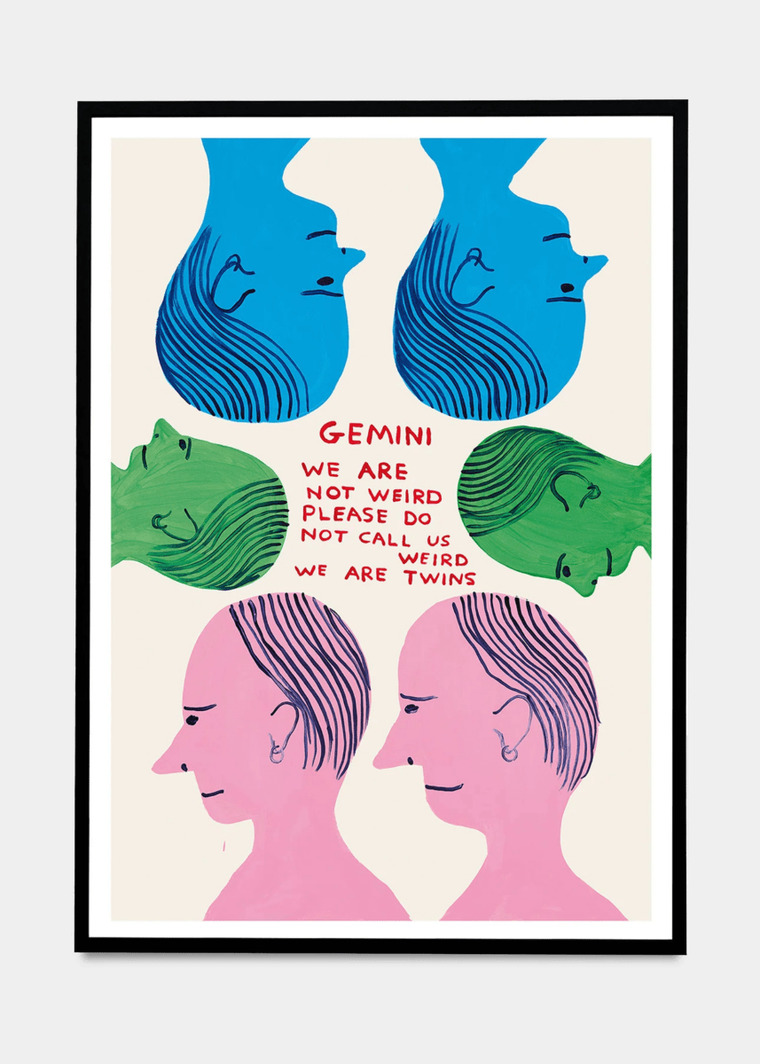 Affichette A5 Signs of the Zodiac D.Shrigley - Ex - voto