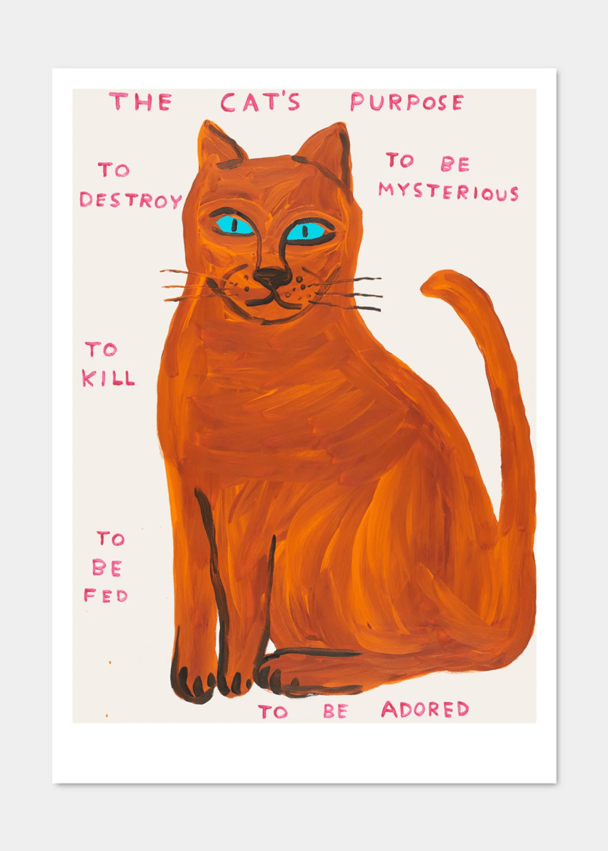 Affichette A5 The Cat's Purpose D.Shrigley - Ex - voto