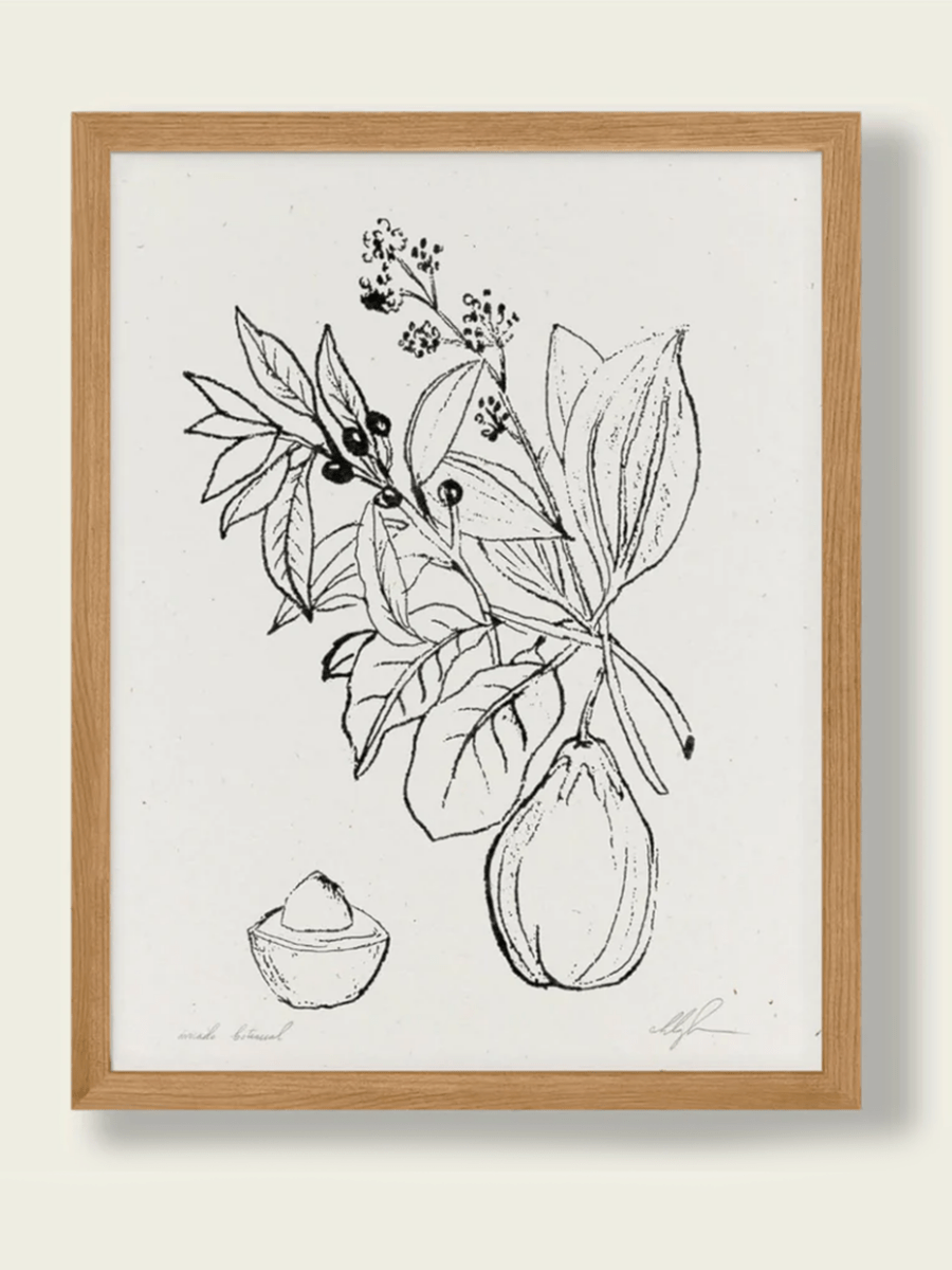 Affichette Avocado Botanical Cocoshalom 8 x11 - Ex - voto