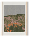 Affichette California Poppies 8.5 x 11 Cocoshalom - Ex - voto