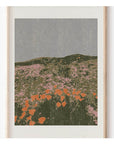 Affichette California Poppies 8.5 x 11 Cocoshalom - Ex - voto