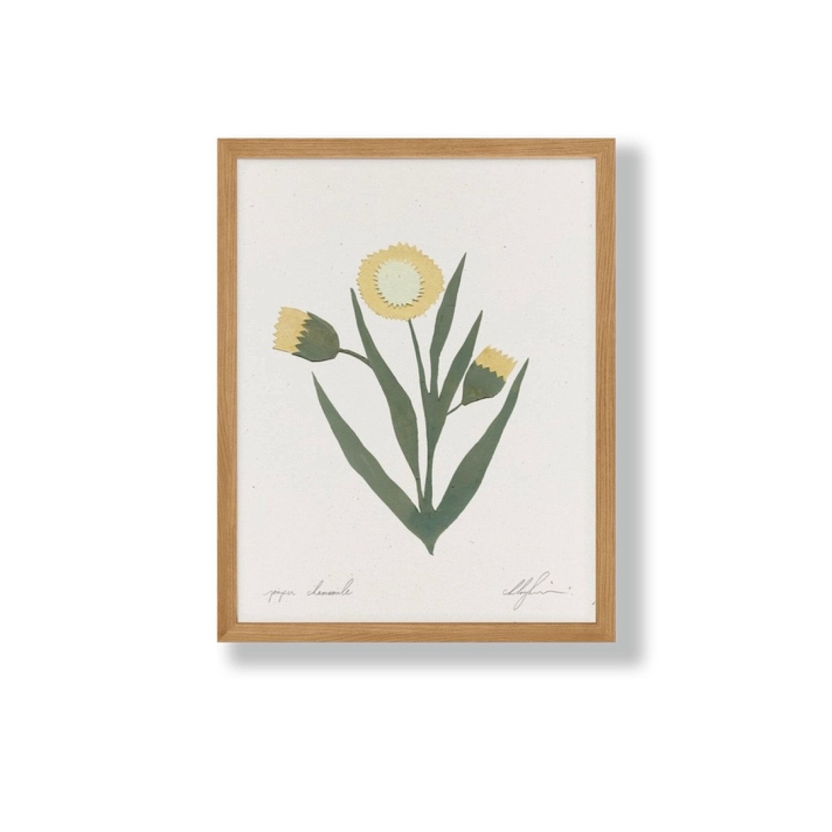 Affichette Paper Chamomille Cocoshalom 8 x11 - Ex - voto