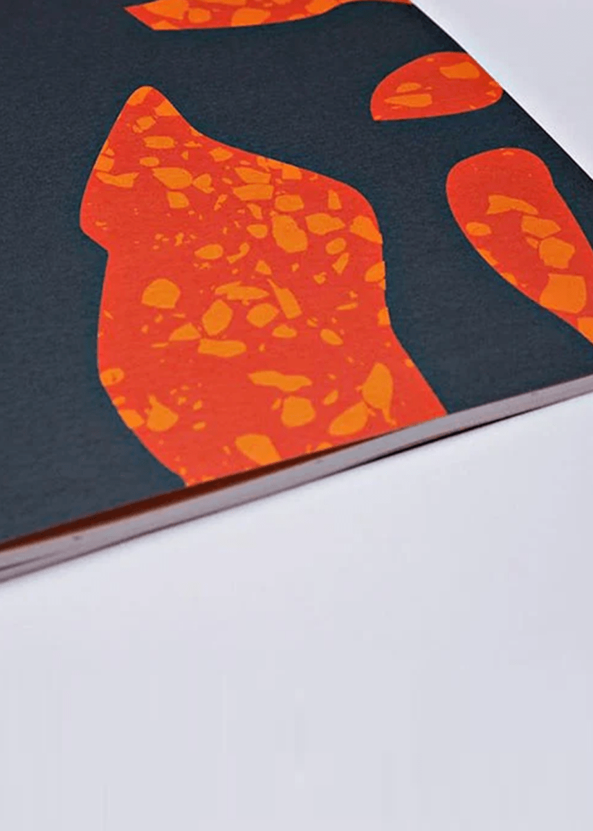 Agenda Non - Daté A4 The Completist - Ex - voto