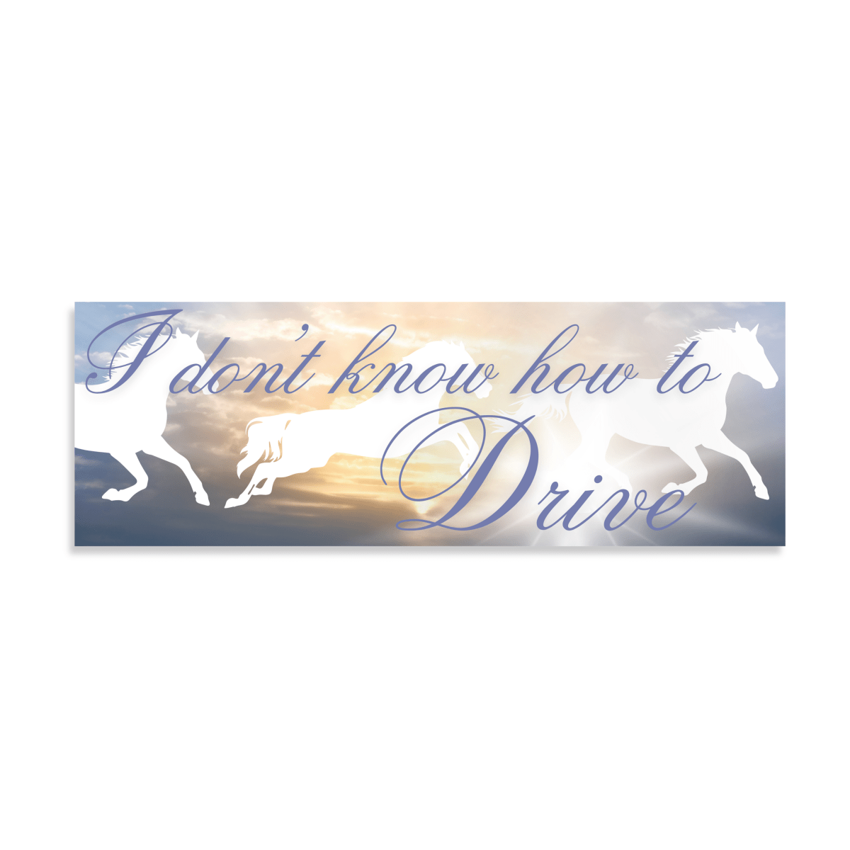 Autocollant "I don't know how to Drive" Unlucky Wishes - Ex-voto