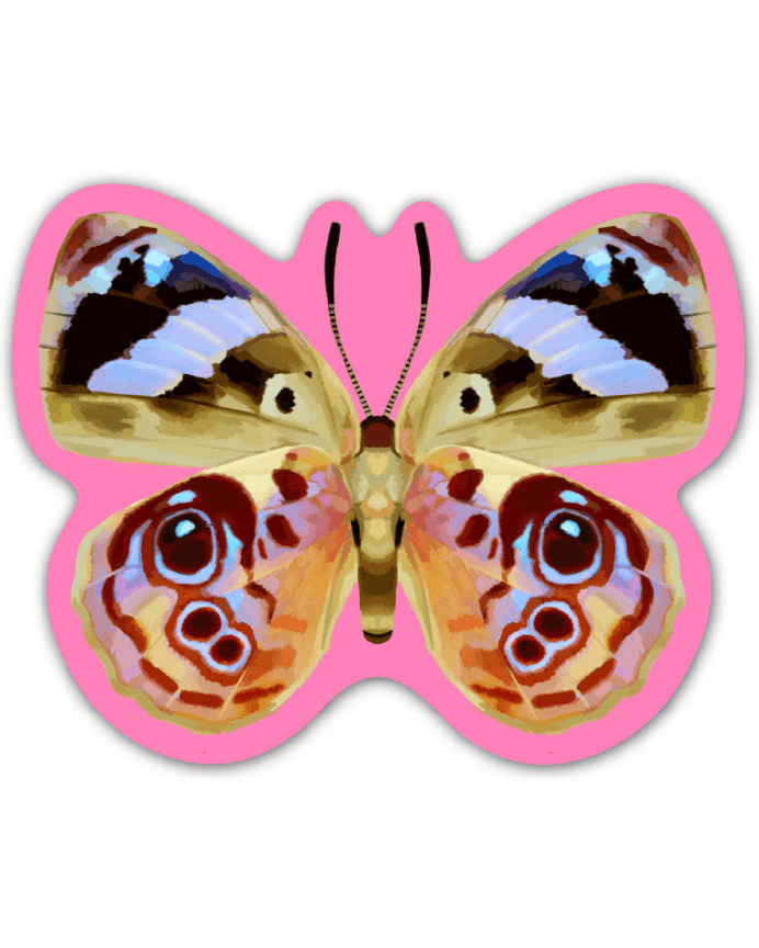 Autocollant Papillon Rose Rags Af - Ex - voto