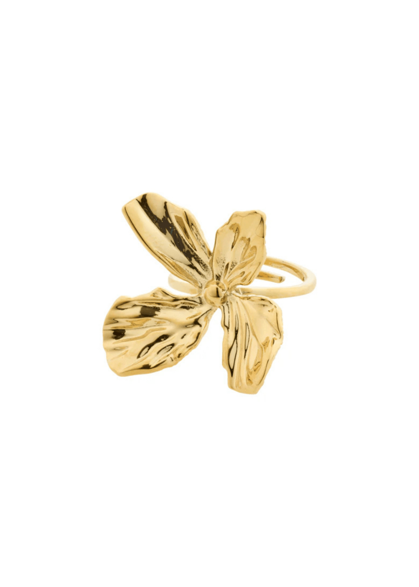 Bague Dream Pilgrim (Or ou Argent) - Ex - voto