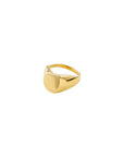 Bague Presence Pilgrim (Or ou Argent) - Ex-voto