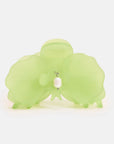 Pince Orchidée Frosted Lime Chunks