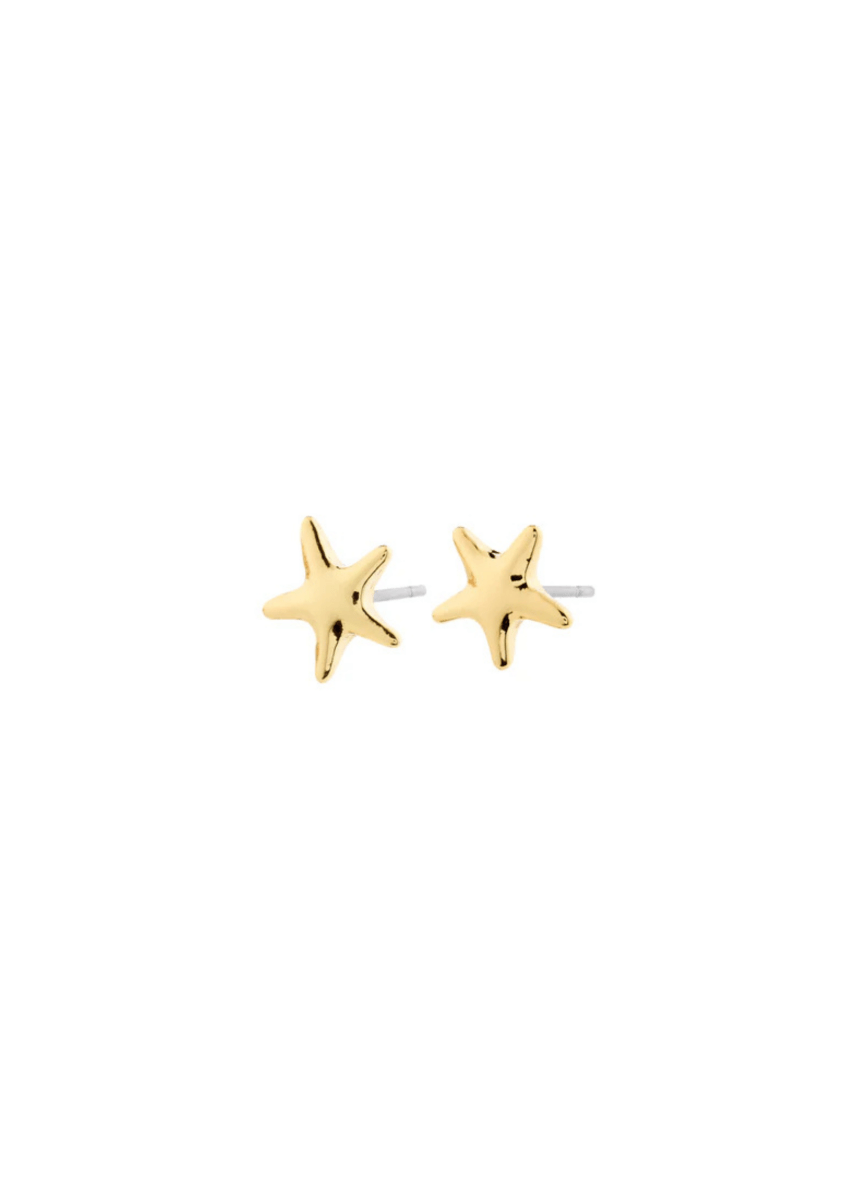 Boucles d'Oreilles André Pilgrim (Or ou Argent) - Ex - voto