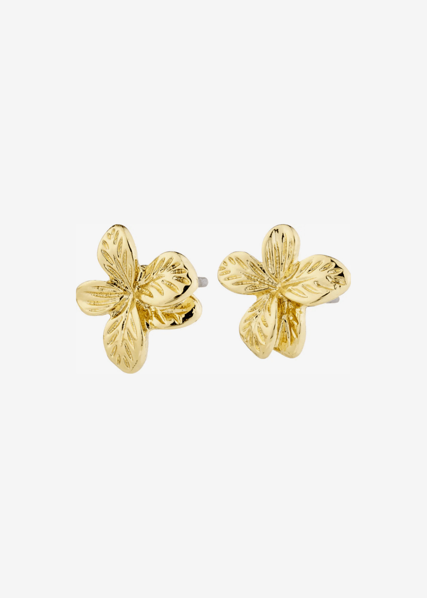 Boucles d'Oreilles Charmaine Pilgrim (Or ou Argent) - Ex - voto