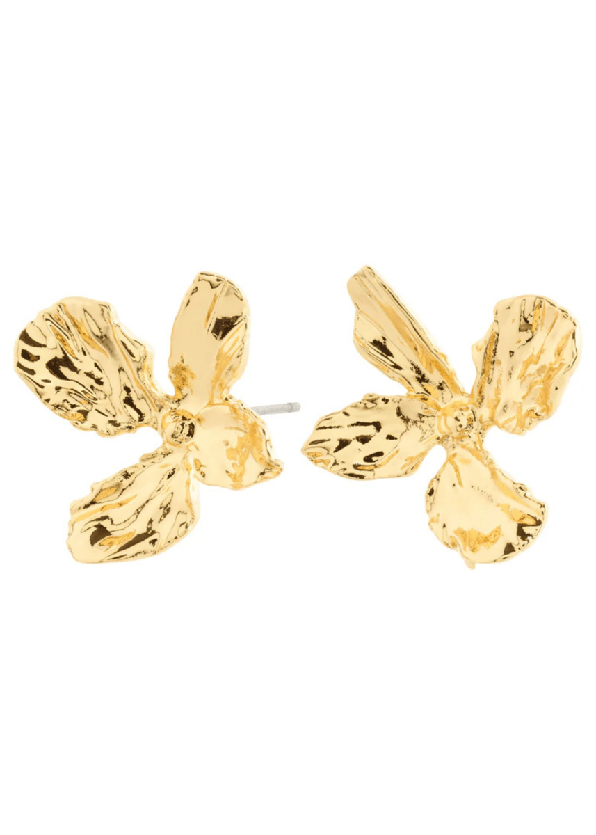 Boucles d'oreilles Dream Pilgrim (Argent ou Or) - Ex - voto