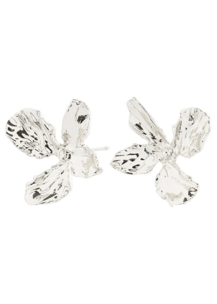 Boucles d'oreilles Dream Pilgrim (Argent ou Or) - Ex - voto
