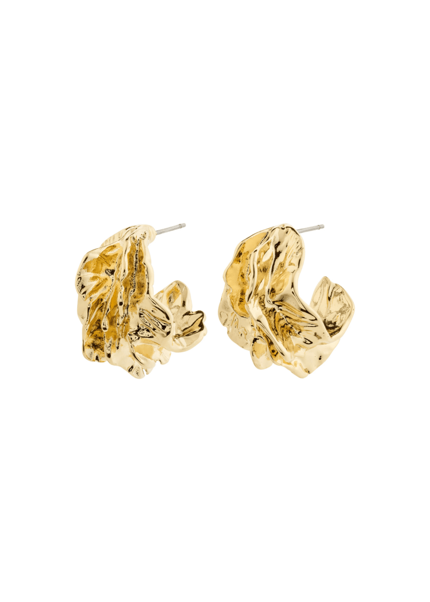 Boucles d'oreilles Eclipse Pilgrim (Or ou Argent) - Ex - voto