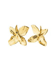 Boucles d'Oreilles Grandes Fleurs Trace Pilgrim - Ex-voto