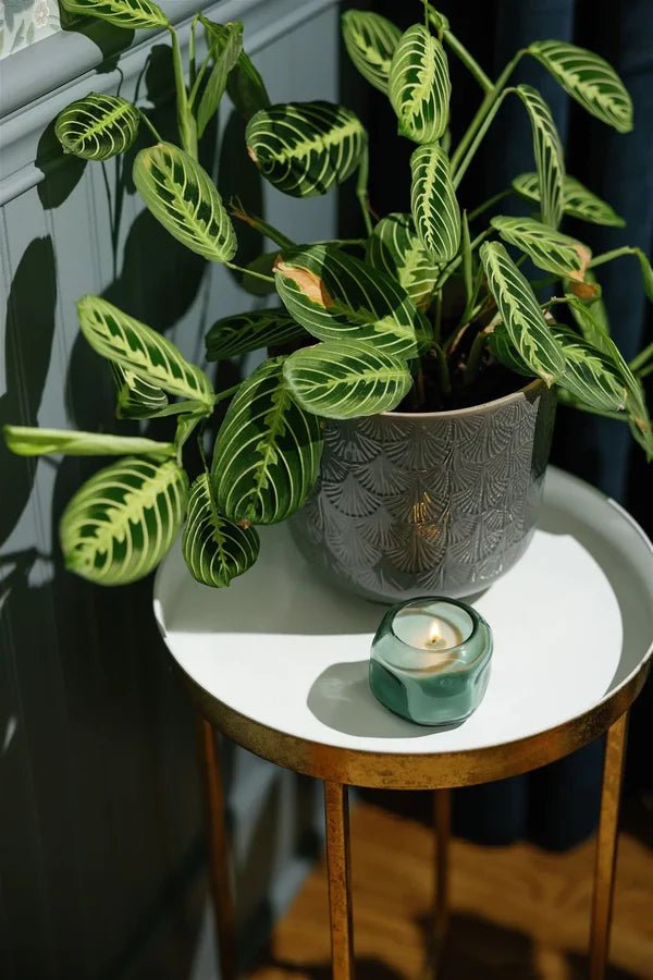 Bougie Basalt Paddywax Turquoise Fresh Air & Sea Salt - Ex - voto