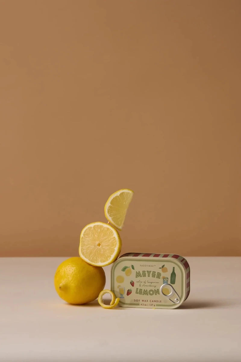 Bougie Bistro 4.5oz Paddywax Citron - Ex-voto