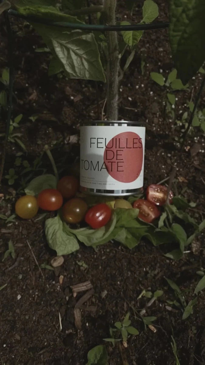Bougie Feuille de Tomate 8oz Dimanche Matin - Ex-voto