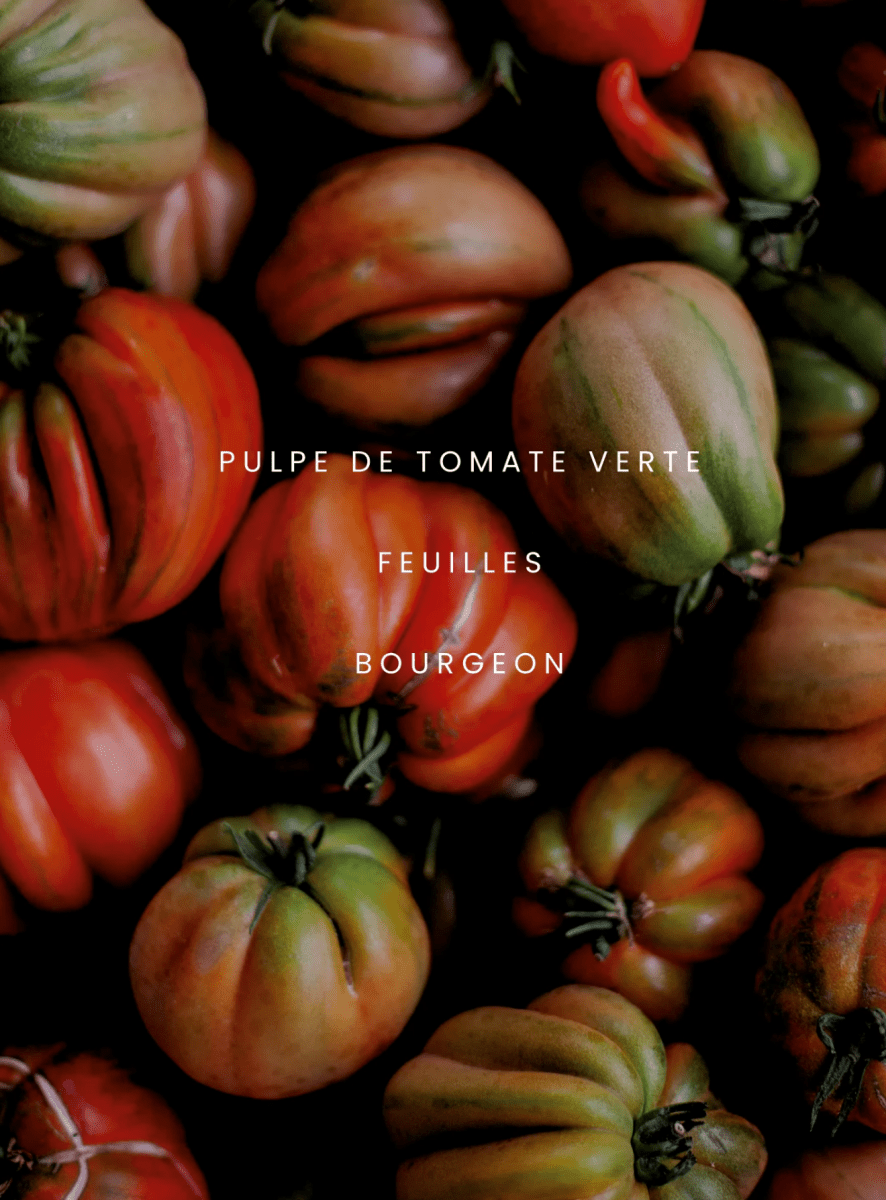 Bougie Feuille de Tomate 8oz Dimanche Matin - Ex-voto