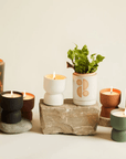 Bougie Form Paddywax Figue et Vetiver - Ex - voto