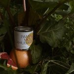 Bougie Pamplemousse Rhubarbe 8oz Dimanche Matin - Ex-voto