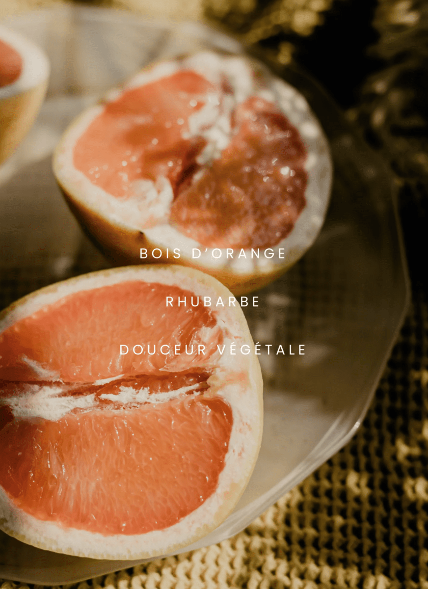 Bougie Pamplemousse Rhubarbe 8oz Dimanche Matin - Ex-voto