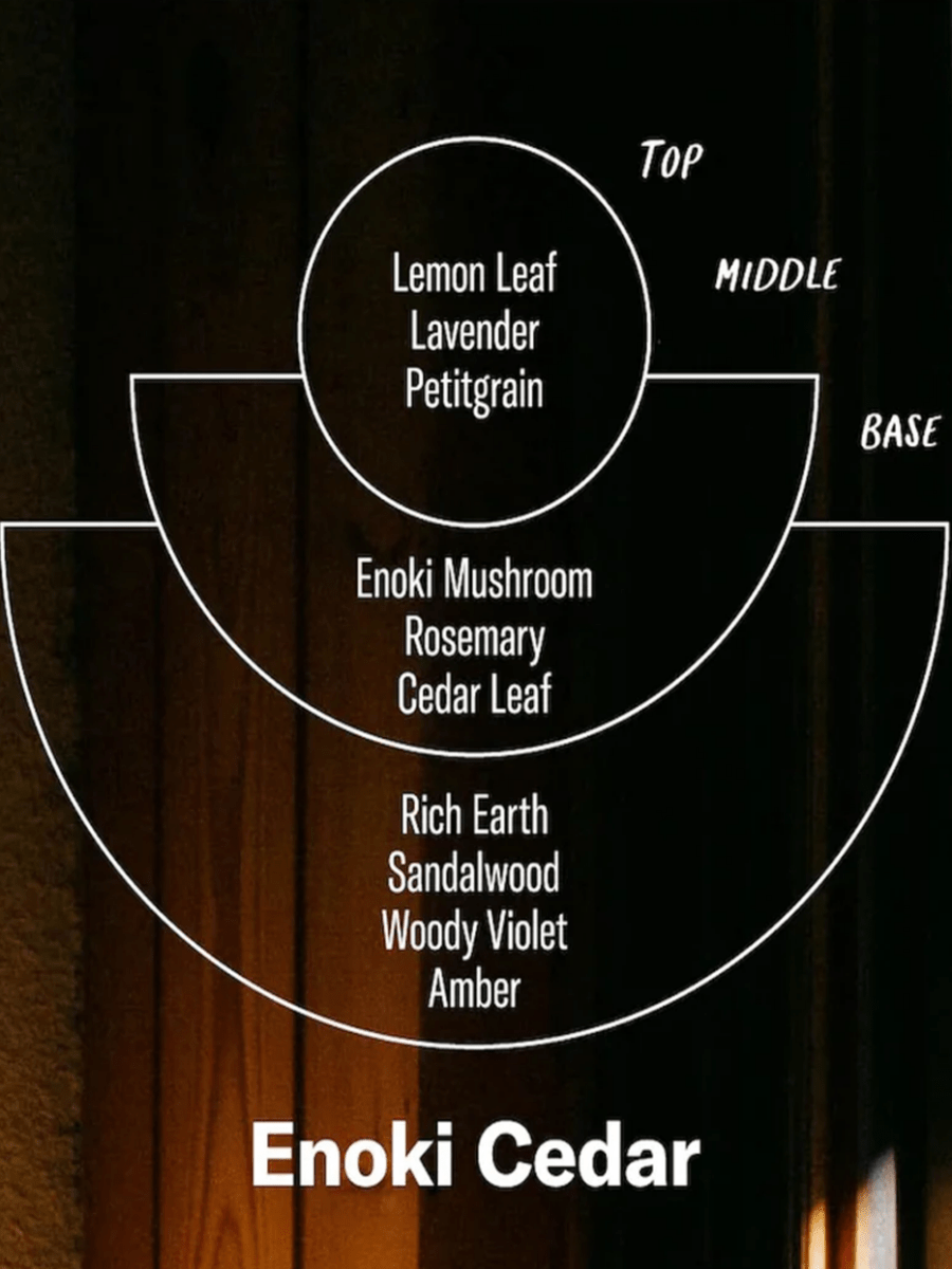 Bougie Pf Candle co Alchemy Enoki Cedar - Ex - voto