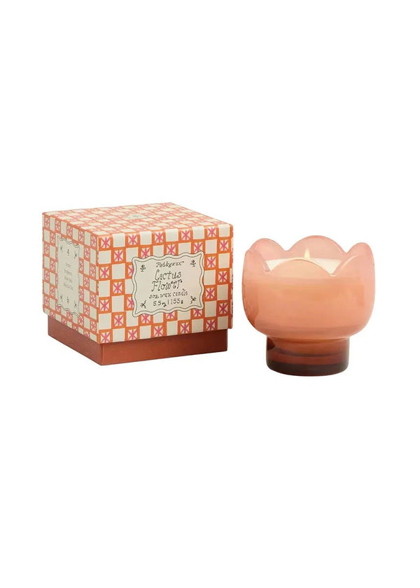 Bougie Tulipe 5.5oz Fleur de Cactus Paddywax - Ex - voto