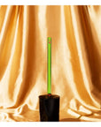Brosse à Toilette Staff - Ex - voto