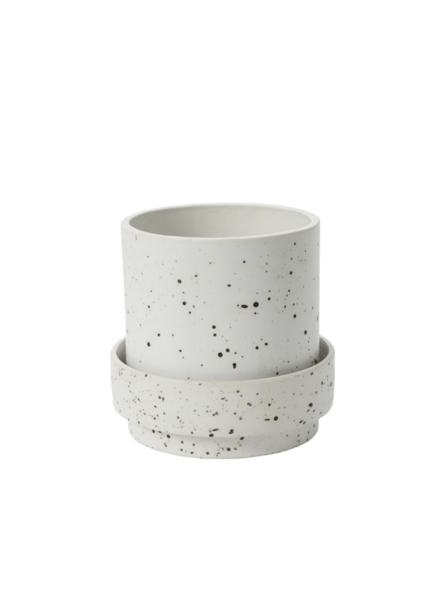 Cache - Pot Claxton 8 x 7.75 AD - Ex - voto