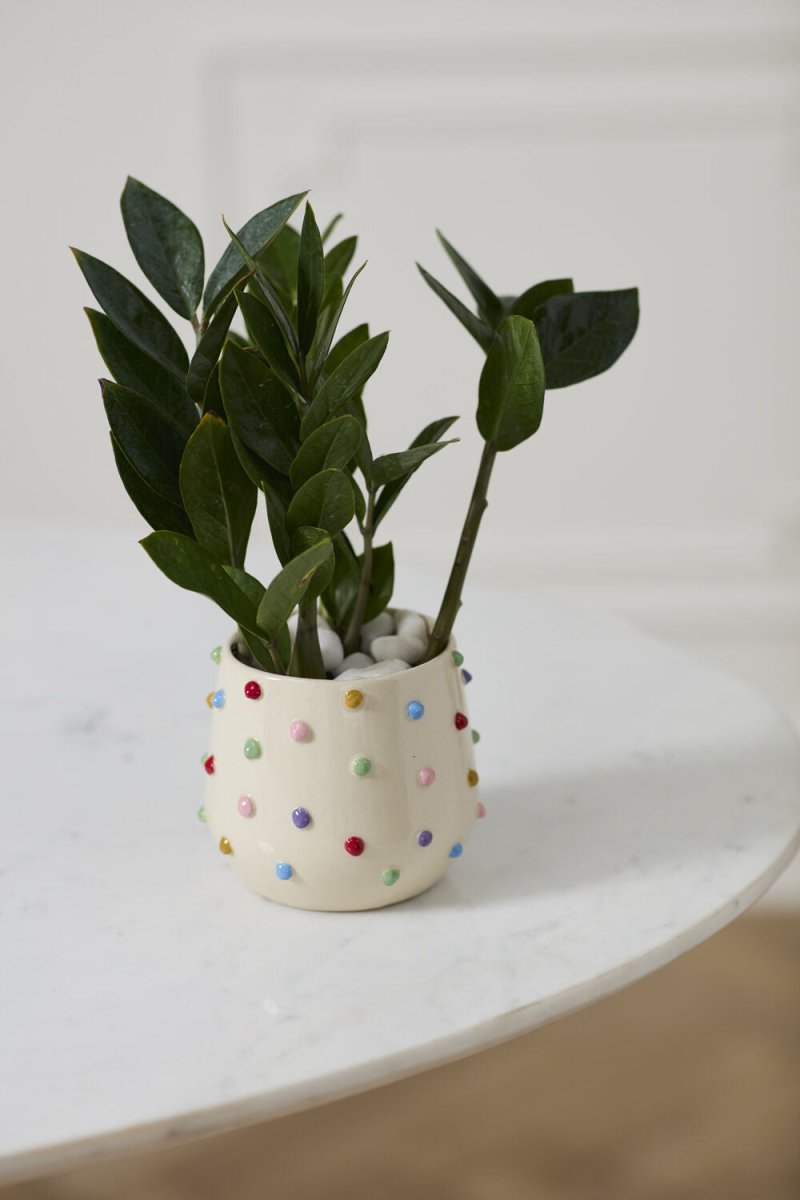 Cache-Pot Pois Colorés 5,25 x 4,5 AD - Ex-voto