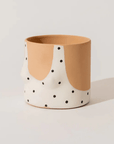 Cache - Pot Polka Dots Clair Group Partner - Ex - voto