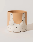Cache - Pot Polka Dots Clair Group Partner - Ex - voto