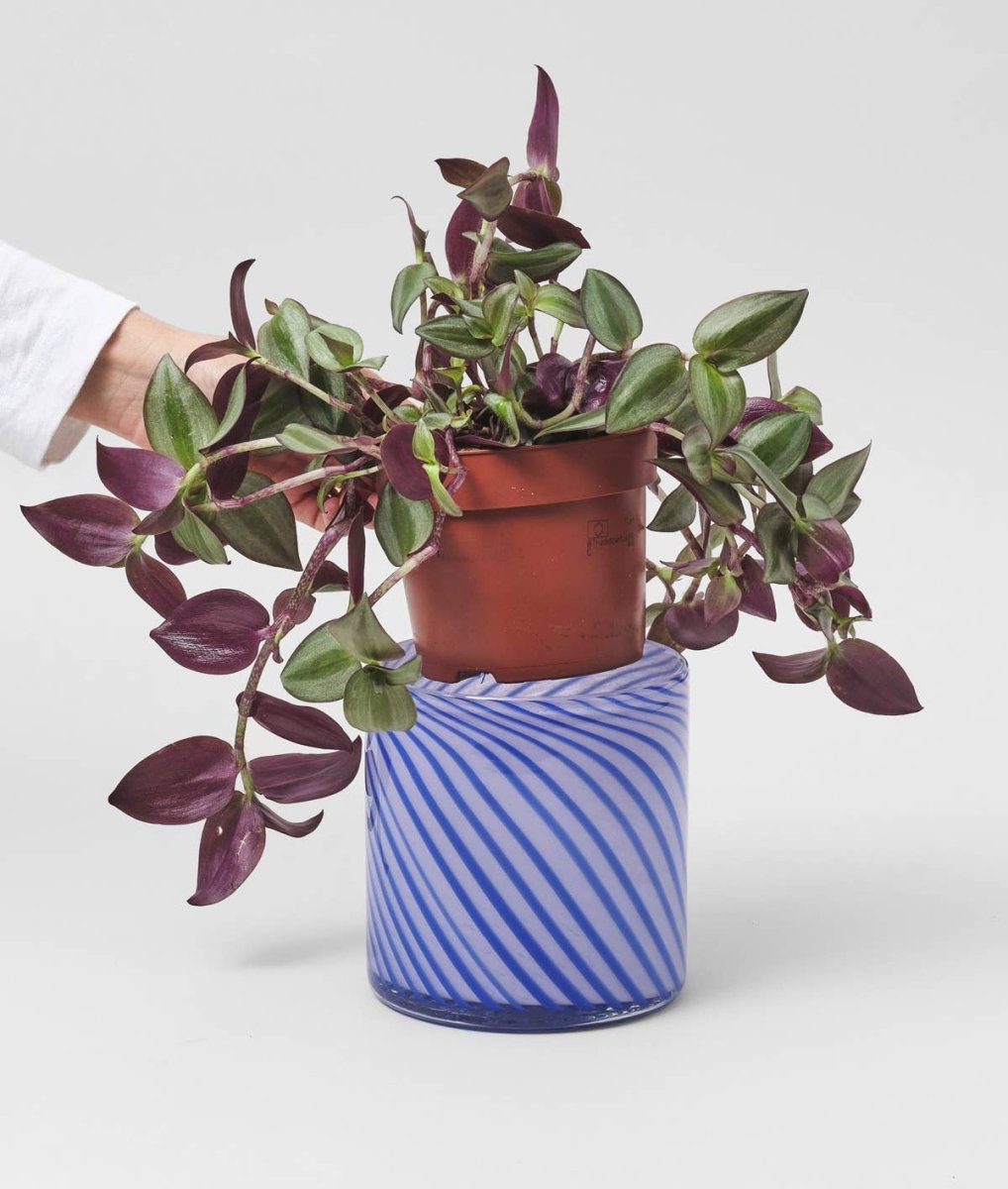 Cache - Pot Spiral Bleu Wrap - Ex - voto