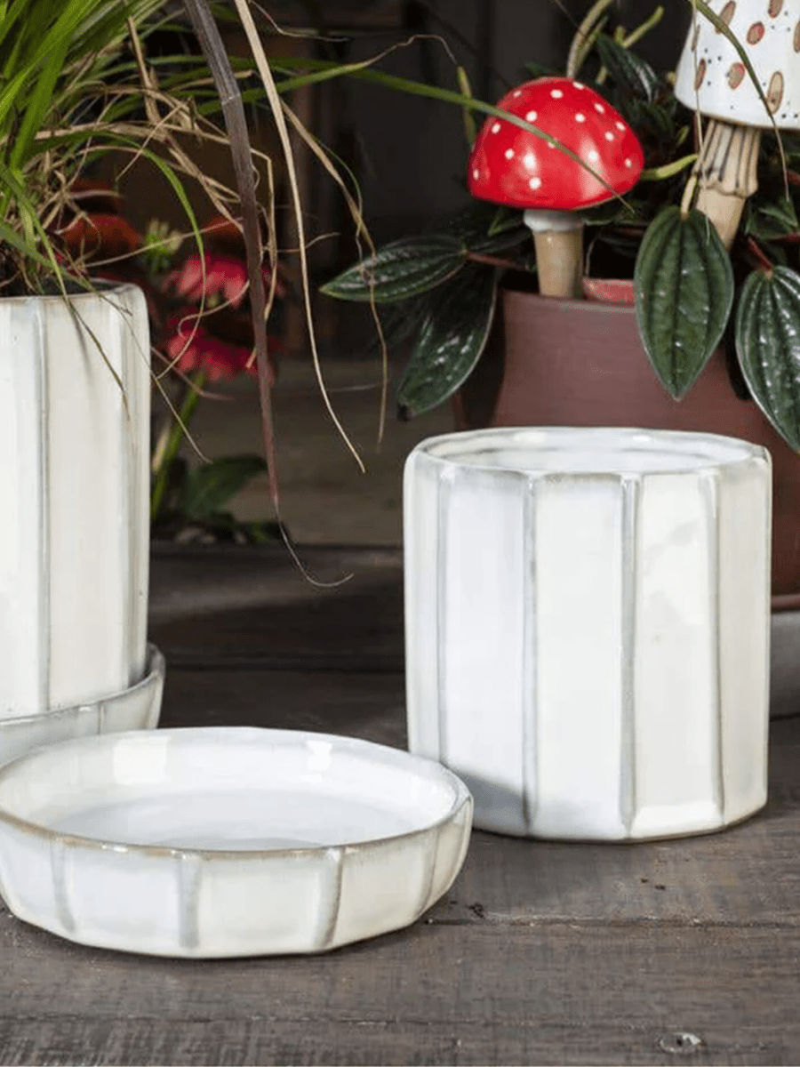 Cache - Pot Tamar 4.5 x 4.5 AD SOLDE - Vente Finale - Ex - voto
