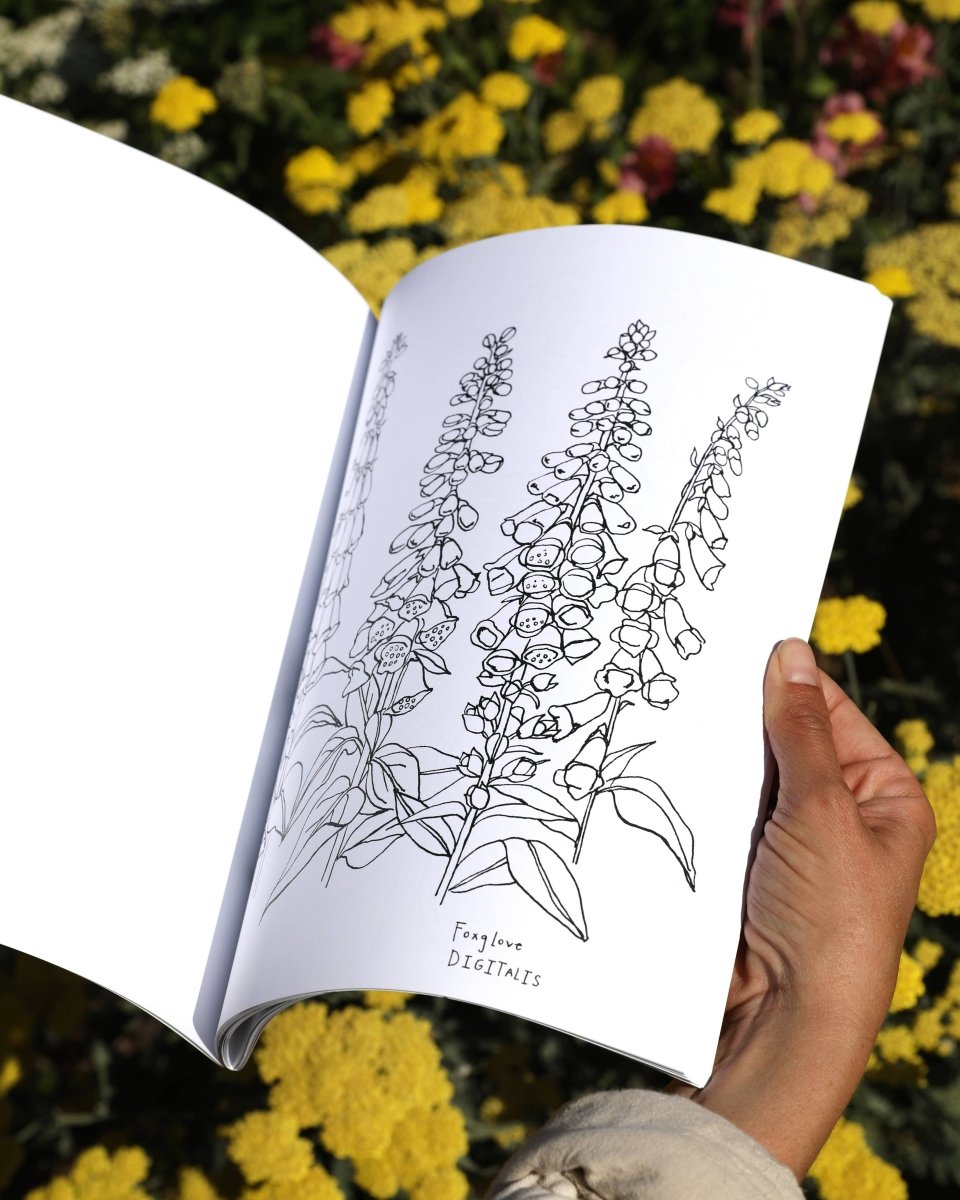 Cahier à Colorier Buds Along the Path Maria Schoettler - Ex - voto