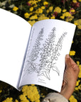 Cahier à Colorier Buds Along the Path Maria Schoettler - Ex - voto