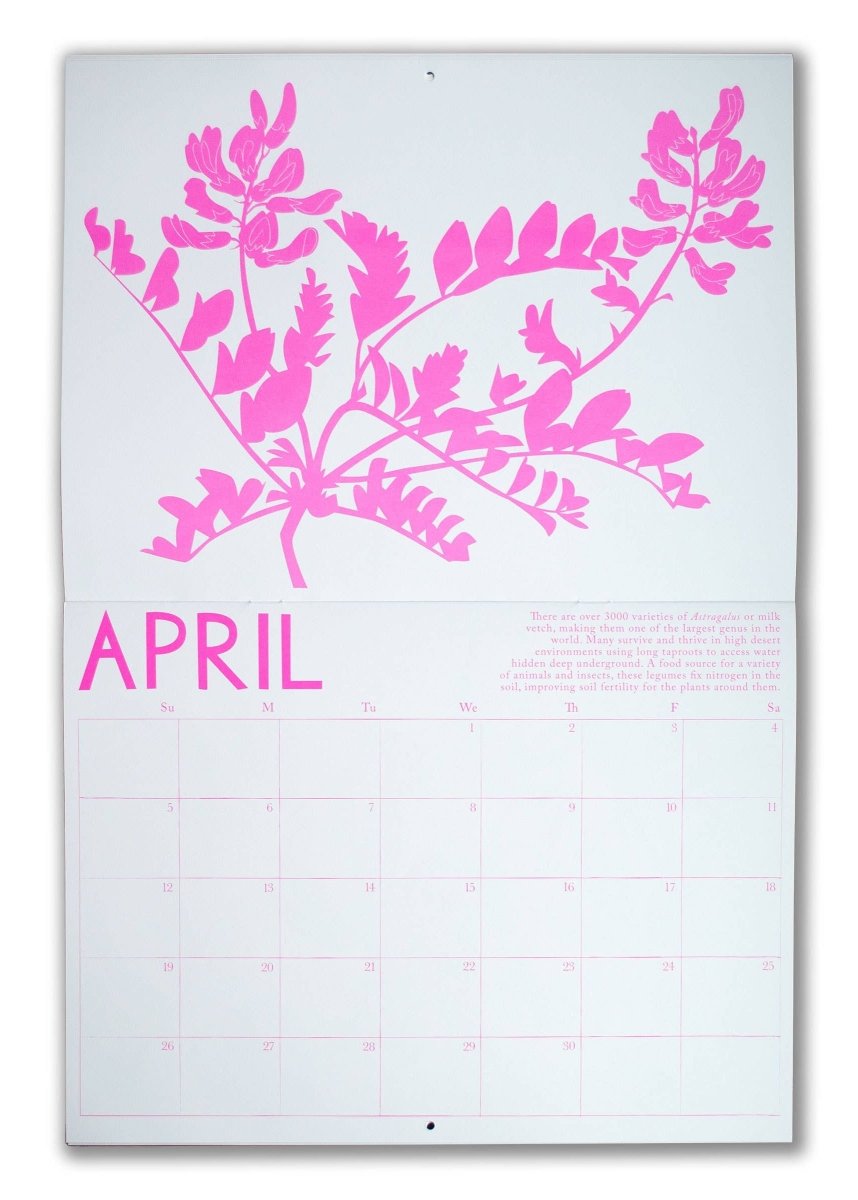 Calendrier 2026 High Desert Plants Banquet - Ex - voto