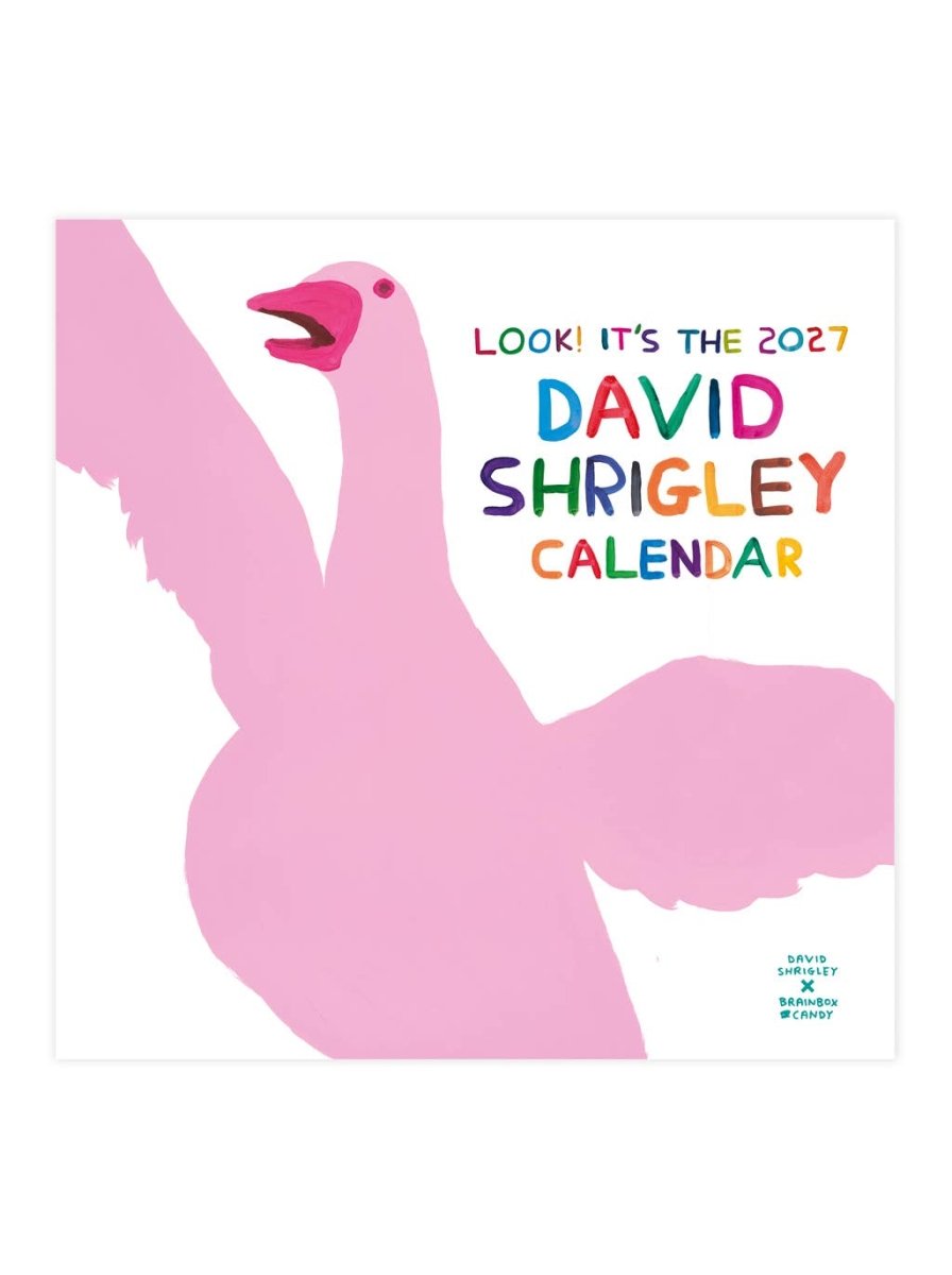 Calendrier 2027 David Shrigley - Ex-voto