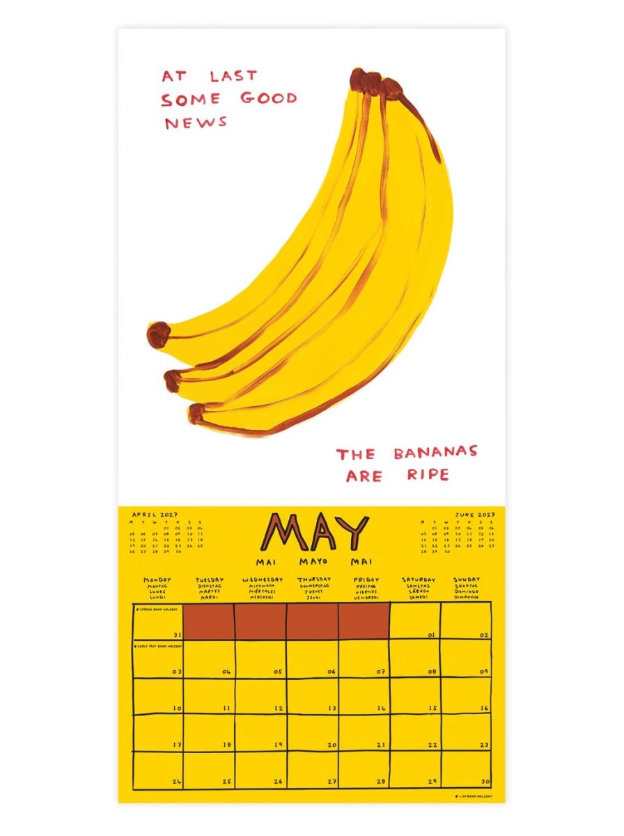 Calendrier 2027 David Shrigley - Ex-voto