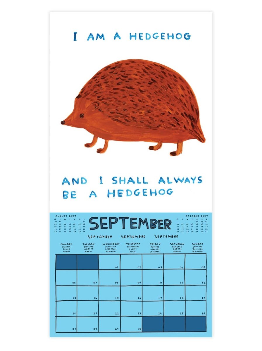 Calendrier 2027 David Shrigley - Ex-voto