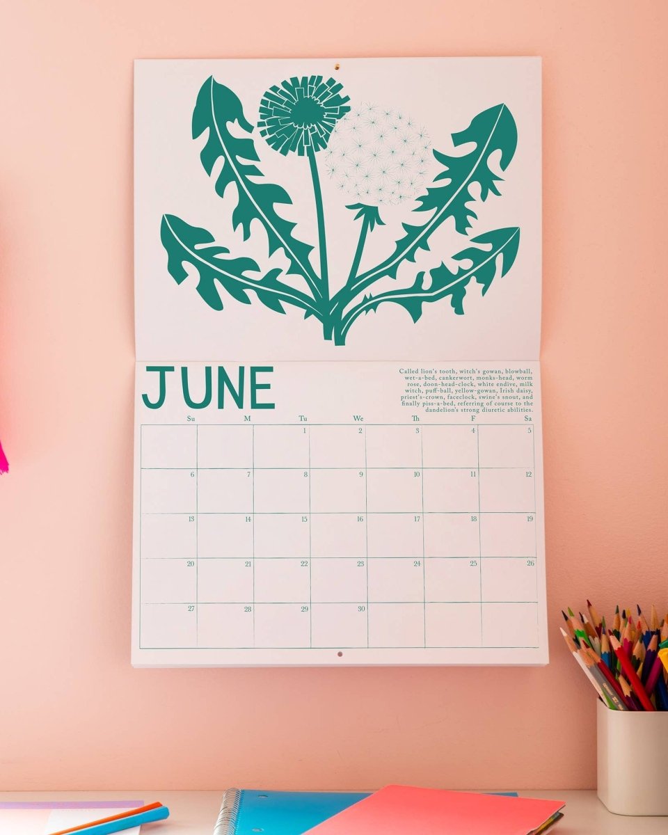 Calendrier 2027 Plantes Médicinales Banquet Atelier - Ex-voto