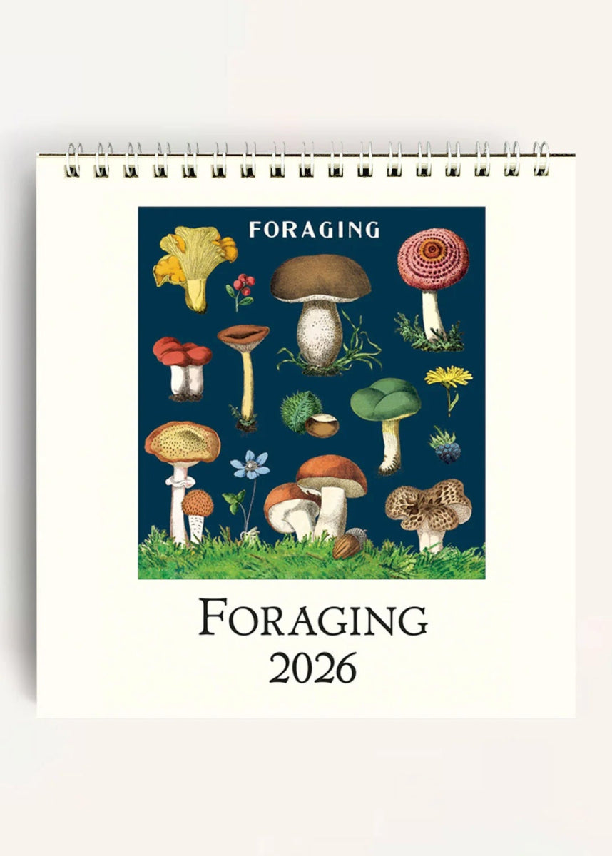 Calendrier de Bureau 2026 Foraging Cavallini - Ex - voto