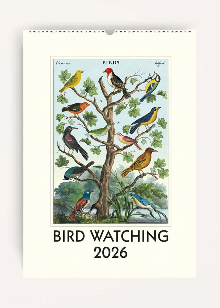Calendrier Mural 2026 Bird Watching Cavallini - Ex - voto