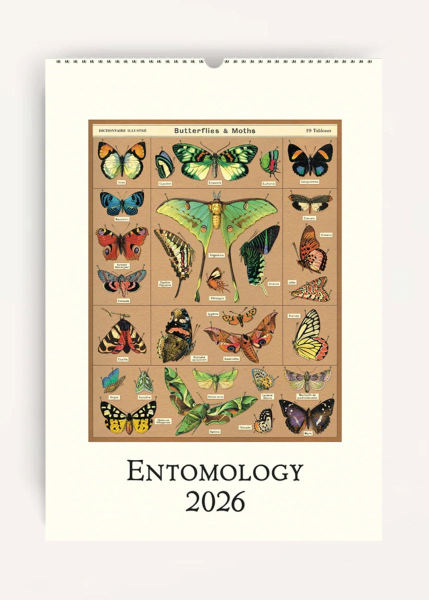 Calendrier Mural 2026 Entomology Cavallini - Ex - voto