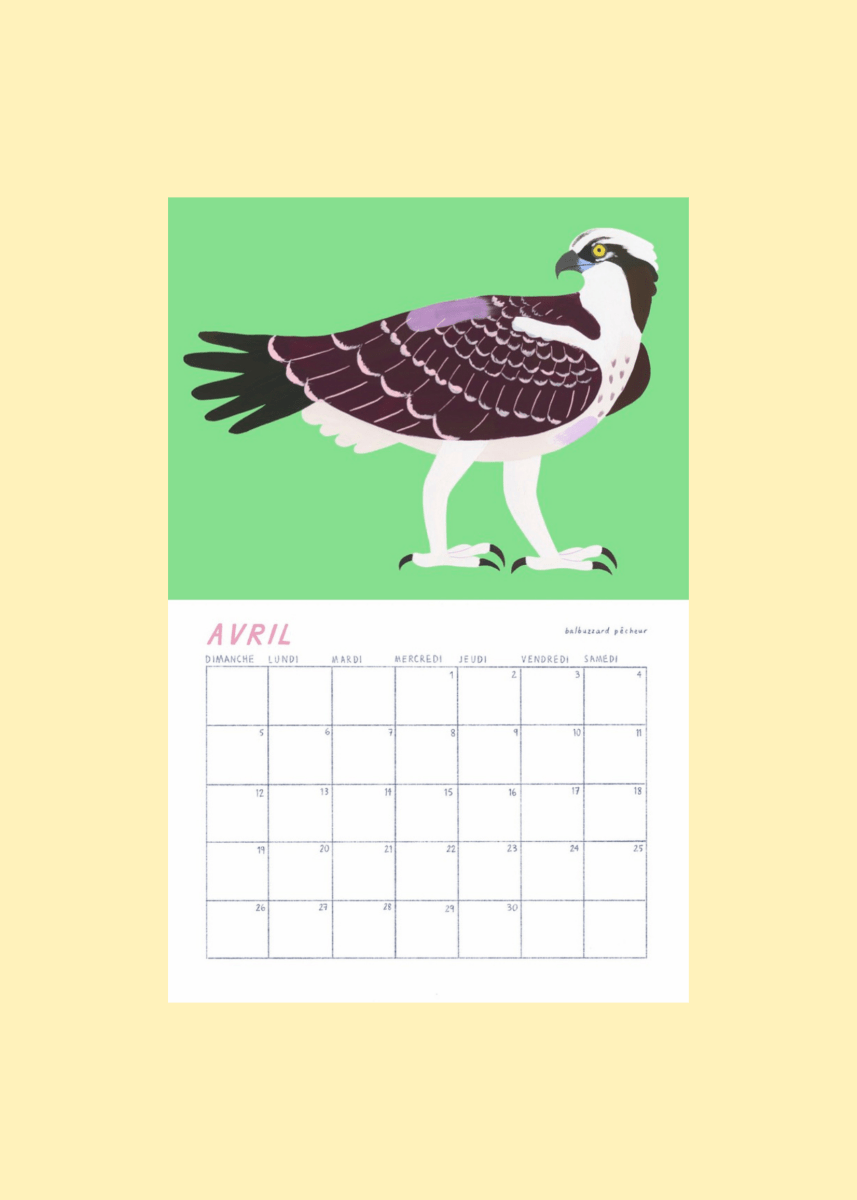Calendrier Oiseaux 2026 Charlotte Parent - Ex - voto