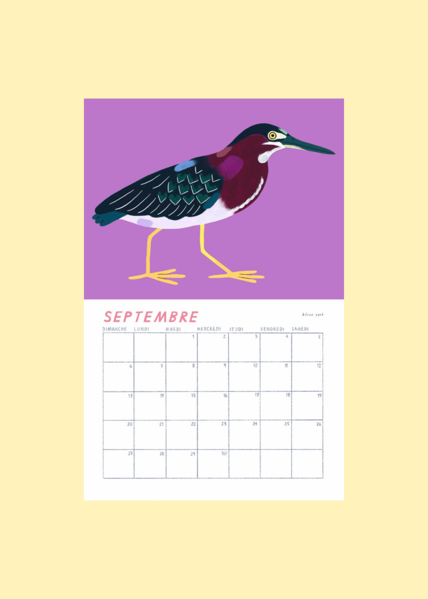 Calendrier Oiseaux 2026 Charlotte Parent - Ex - voto