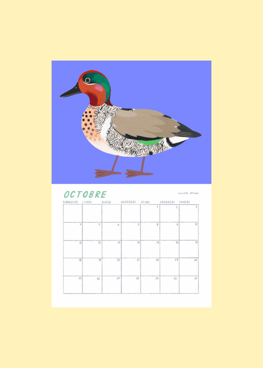 Calendrier Oiseaux 2026 Charlotte Parent - Ex - voto