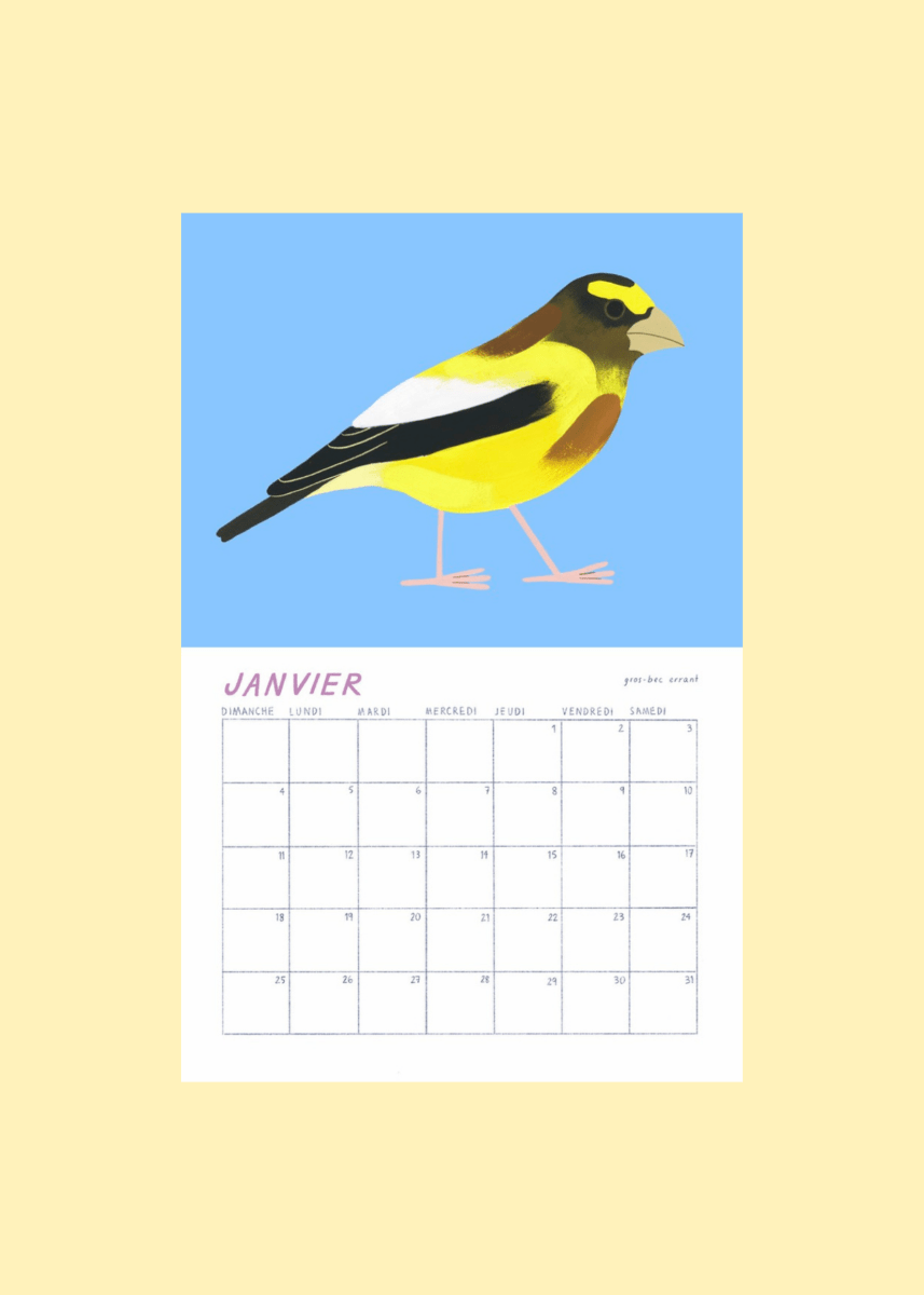 Calendrier Oiseaux 2026 Charlotte Parent - Ex - voto